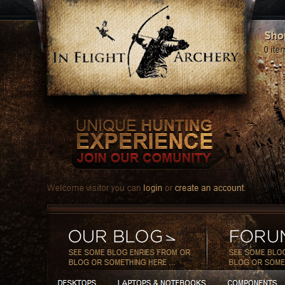 In Flight Archery