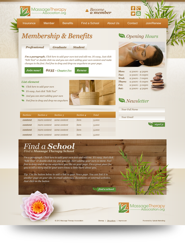 Massage Therapy Association