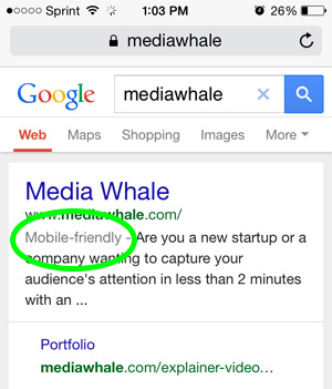 Mobile Friendly Results in Google
