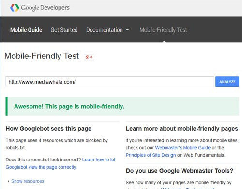 Mobile Friendly Google Test Screenshot