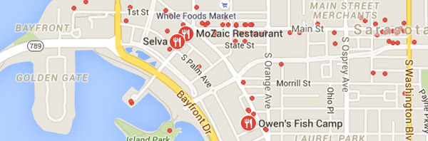 Google Local Proximity Search